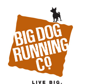 live-big-color-logo